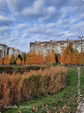 Это любимое место отдыха для детей, взрослых и их домашних питомцев. (фото 14)