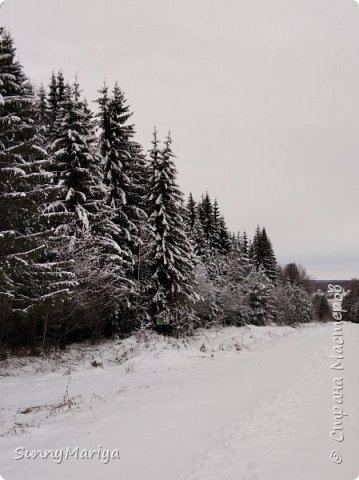 И дальше вот она сама, дорога вниз, к реке. До реки не дошла. Никого там нет сейчас, жутковато одной бродить... Я трусишка))) (фото 3)