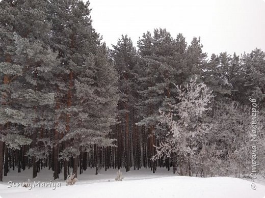 Еще чуть левее... (фото 11)