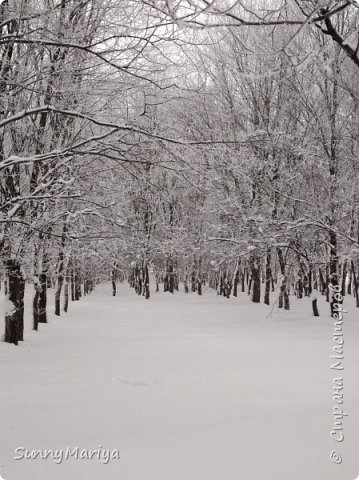 Вот так уютно все укрыто снежным одеялом! (фото 15)