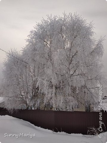 А это уже у нас за городом. На следующий день.  (фото 21)