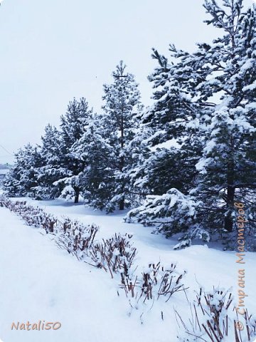 Рождественский Сочельник (фото 9)