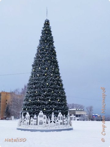 Во всей красе..  (фото 4)