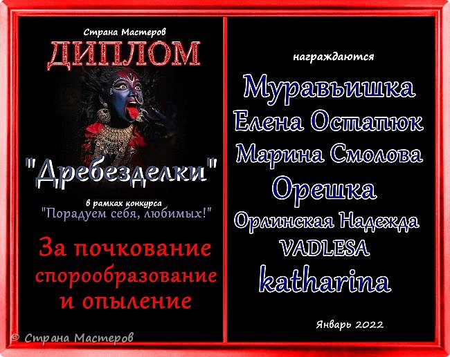 В этом году наши трындычихи столько тем перетерли, что не передать! Виртуозили своими языками как могли!
Получайте, дорогие наши виртуозоязыкие мастерицы, свои заслуженные дипломы!
Аплодисменты! (фото 19)