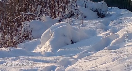 Похоже на норку или домик гномика... Теперь отправимся в лес... (фото 10)