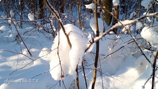 А это лесные феи убирались и тряпочку забыли... (фото 19)