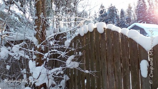 Рождество за городом (фото 12)