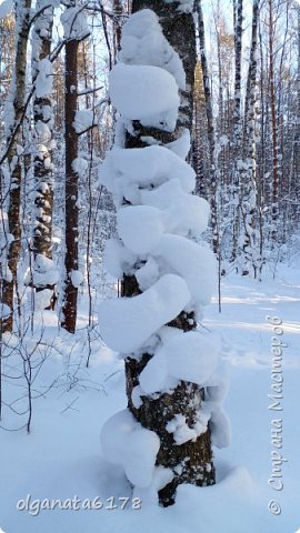 Рождество за городом (фото 26)