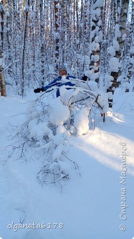 А этот куст я назвала павлиний хвост (фото 25)