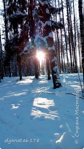 Рождество за городом (фото 24)