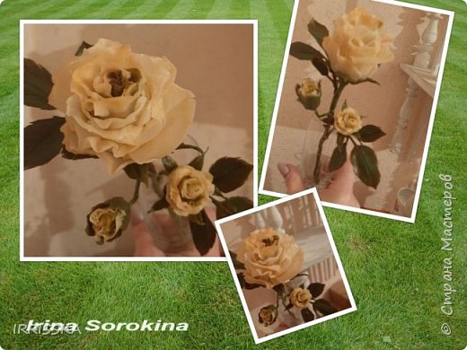 Розочки...Розочки..И еще раз розочки... (фото 6)