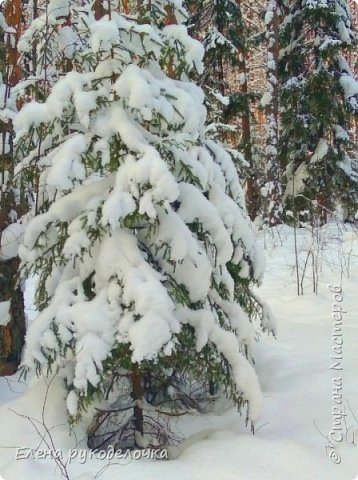 Ёлочка красавица. А снег такой пушистый)))
Жаль камера на телефоне слабенькая... (фото 15)