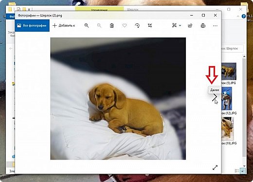 При выборе "Открыть" выбранное фото откроется.
Его можно будет перелистывать, переходя к следующему, нажатием на стрелочку "Далее" (фото 12)