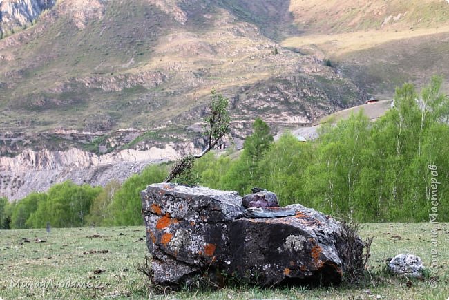 Вот тут тоже видно вде дороги. Это деревце мне надо было тоже вкруговую обойти, оно так интересно изогнулось, повторяя форму камня. Но это я увидела из машины, когда проезжали мимо. (фото 47)