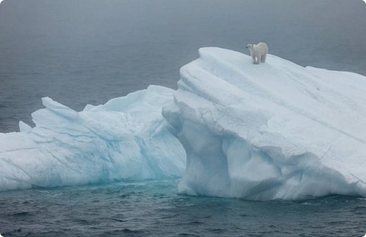 Но самое удивительное и завораживающее зрелище - это, конечно, айсберги! (фото 10)