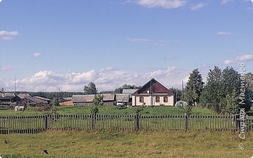 Очень многие в деревне имеют огромные огороды, и урожай посадить и скотину выгулять. (фото 8)