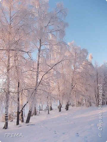 За березами наше большое чистое озеро!  (фото 14)