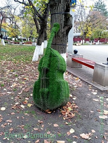 Контрабас.
Хотелось рядышком с ним запечатлеться, но я же бегу, мне надо успеть до прихода гостей. (фото 10)