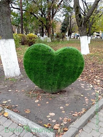 Огромное сердце. Фотографирую всё на бегу. (фото 9)