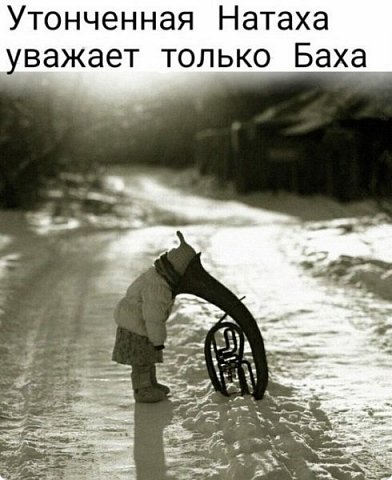 ....Из-под палки хорошо звучит только барабан...Сергей Хохлов  (фото 18)