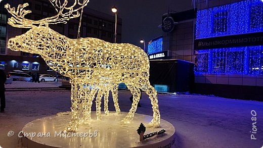 А этих оленей я первый раз увидела.  (фото 8)