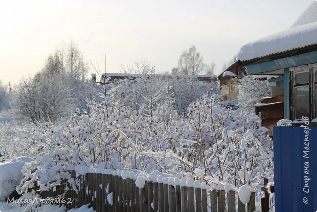    Пугало огородное (фото 19)