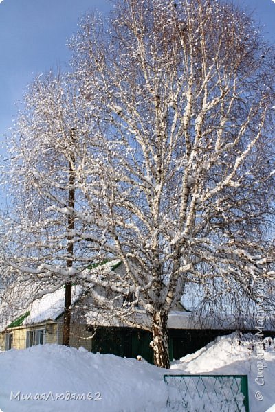    Пугало огородное (фото 20)