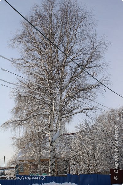    Пугало огородное (фото 21)