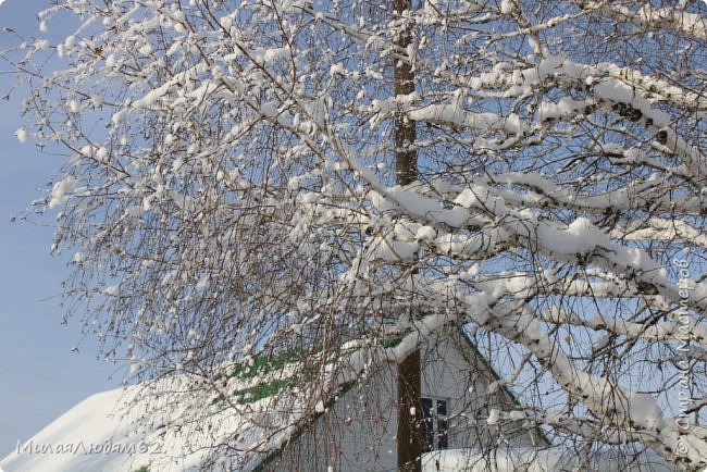    Пугало огородное (фото 22)