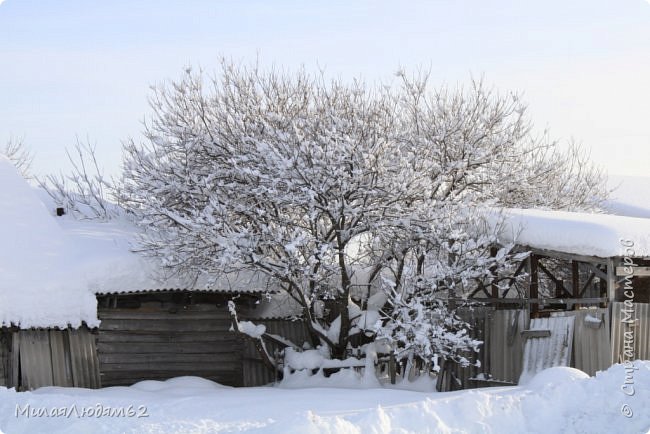    Пугало огородное (фото 23)