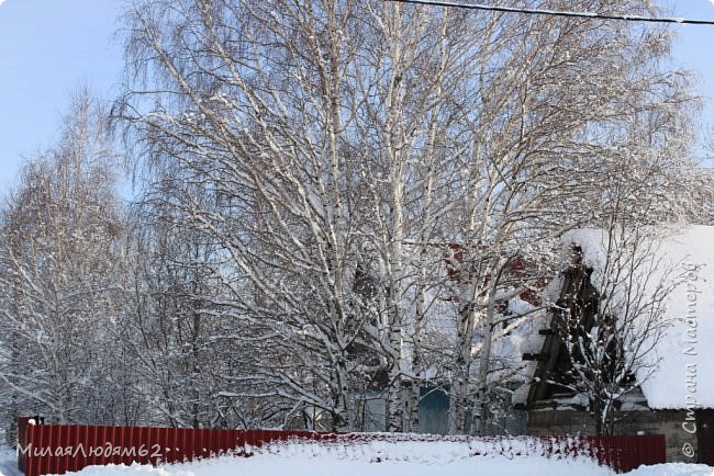    Пугало огородное (фото 24)