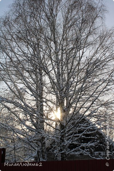    Пугало огородное (фото 25)