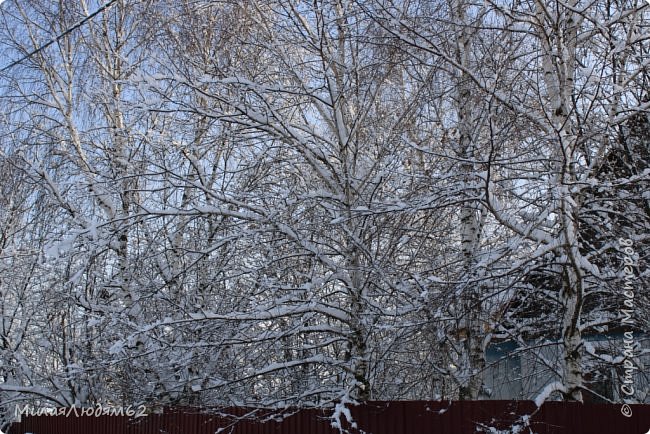    Пугало огородное (фото 27)