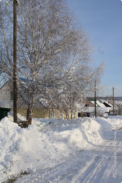    Пугало огородное (фото 28)