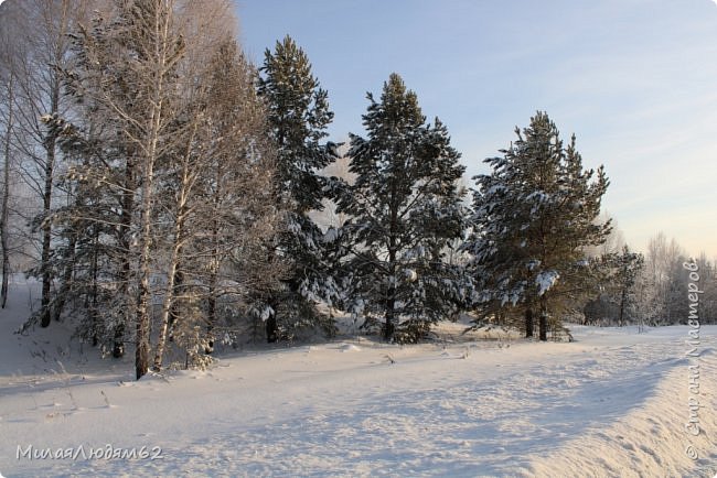 Это по дороге в город снимала (фото 2)