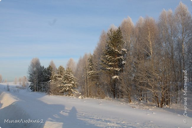 Сибирская красота + хвастик (фото 3)