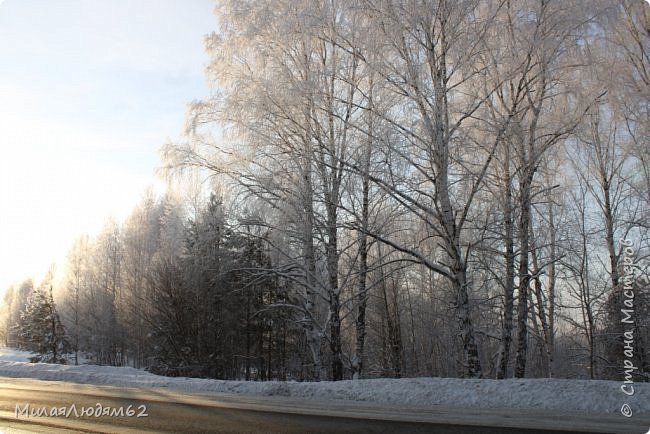 Сибирская красота + хвастик (фото 5)