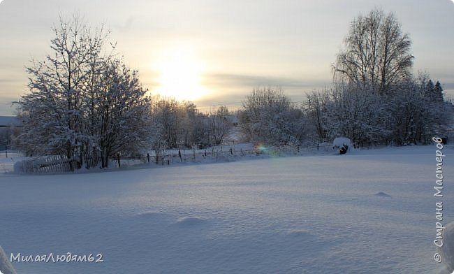 Сибирская красота + хвастик (фото 34)