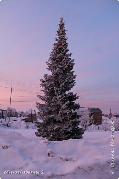 Я же так рано по улице не хожу...соня я... (фото 2)