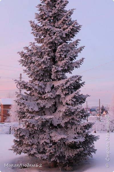 Февральский рассвет и хвастик (фото 6)