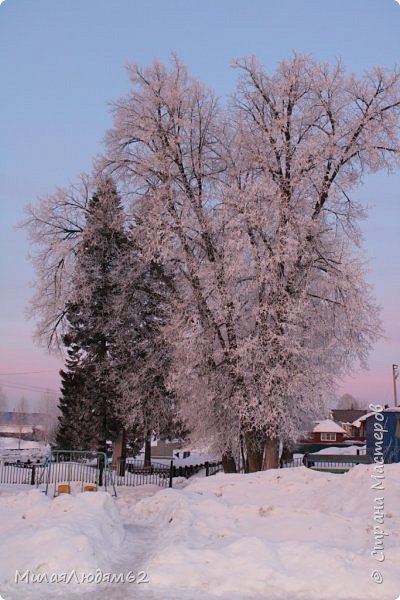 Февральский рассвет и хвастик (фото 11)