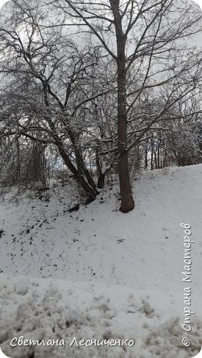 А сегодня у нас прям зима нам подкинула сюрпрайз . Вчера вечером такой снегопад был . Снегу навалило , всю зиму не было столько . На те вам весеннего снежка.  (фото 18)