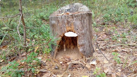 Приделали кап  получился козырёк над дверью , а где дверь ? (фото 3)