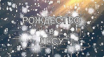 ? "Спектакль театра теней "Рождество в лесу". 2019г.
https://podjem-tal.ru/node/1169833
https://my.mail.ru/mail/spasskie.kolokolchiki/video/3/113.html
https://my.mail.ru/mail/spasskie.kolokolchiki/video/3/17.html (фото 2)