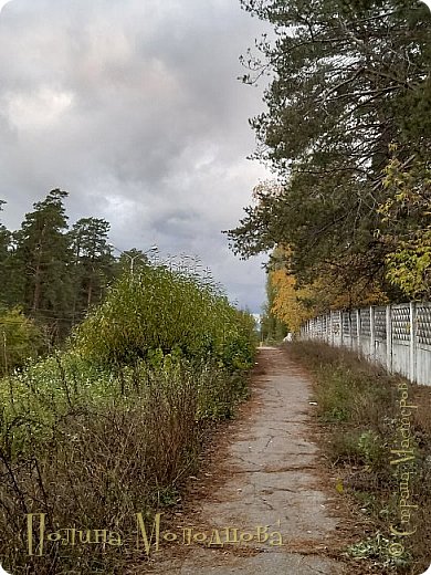 Эта же тропинка, но уже в изменчивые осенние месяцы. (фото 3)