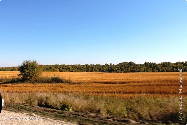 Путешествие в осенний Алтай. Дорога по Ближнему Алтаю. (фото 69)