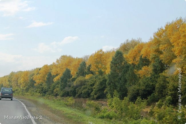 Путешествие в осенний Алтай. Дорога по Ближнему Алтаю. (фото 12)