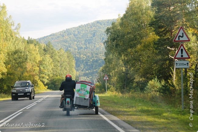 Путешествие в осенний Алтай. Дорога по Ближнему Алтаю. (фото 31)