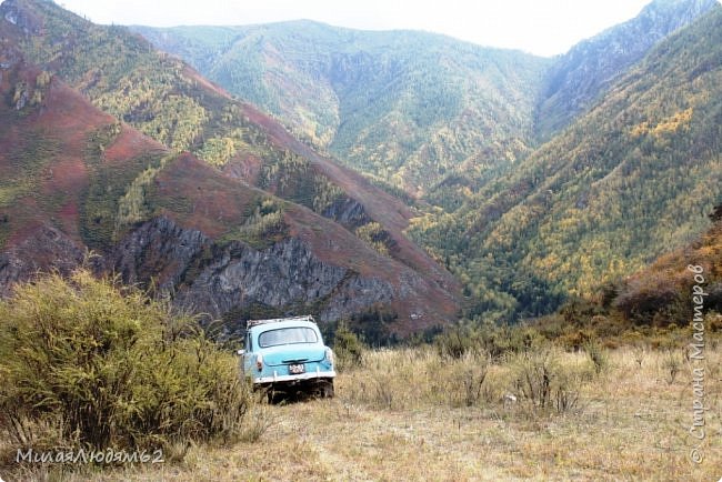 А еще нашли вот такую машинку в кустах (фото 133)