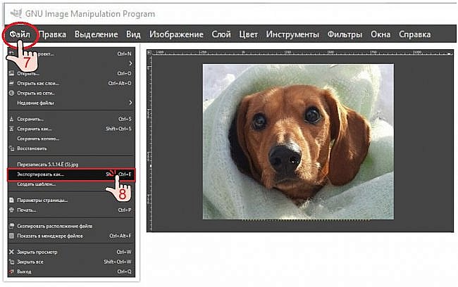 ?  Сохранение

7. Меню "Файл" ? 8. "Экспортировать как..."? (фото 9)
